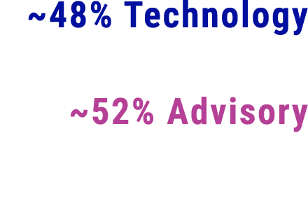 ~48% Technology ~52% Advisory
