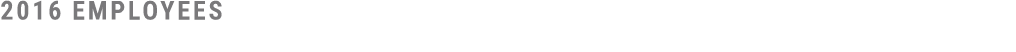 2016 Employees