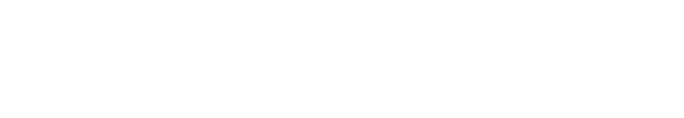 Our specialized technology solutions address mission critical technology and security issues. 